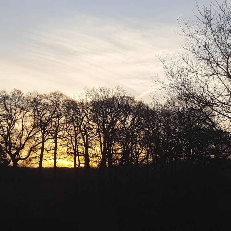 img_20170303_072523_625