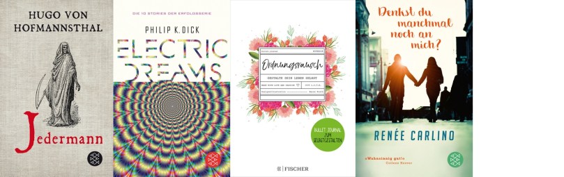 fischer-taschenbuch-fj18